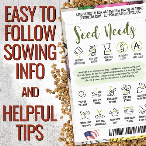 Seed Needs Rainbow Beet Seeds ready for sowing in garden beds
