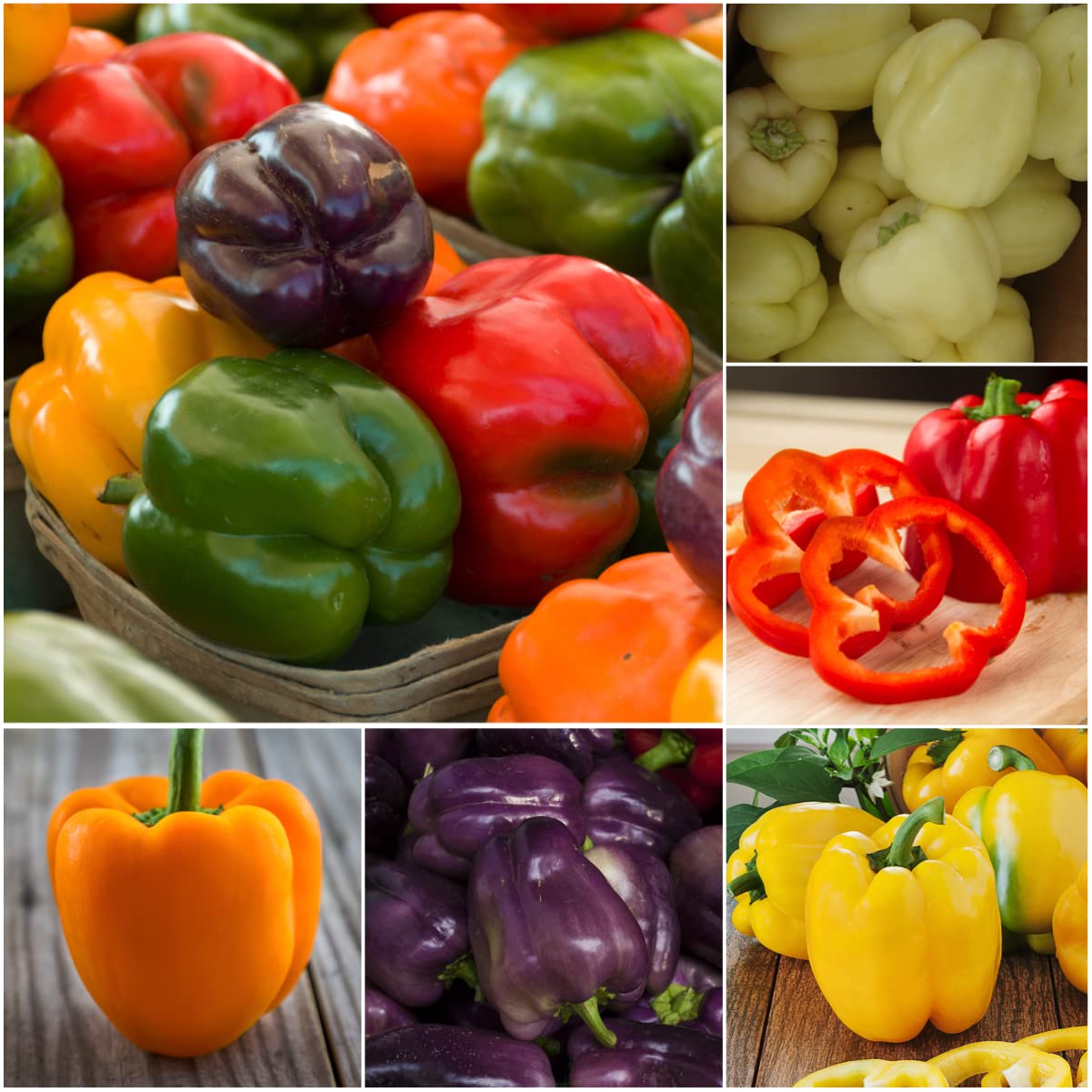 Seed Needs Rainbow Bell Pepper Seeds deliver vitamin-rich peppers for meals.