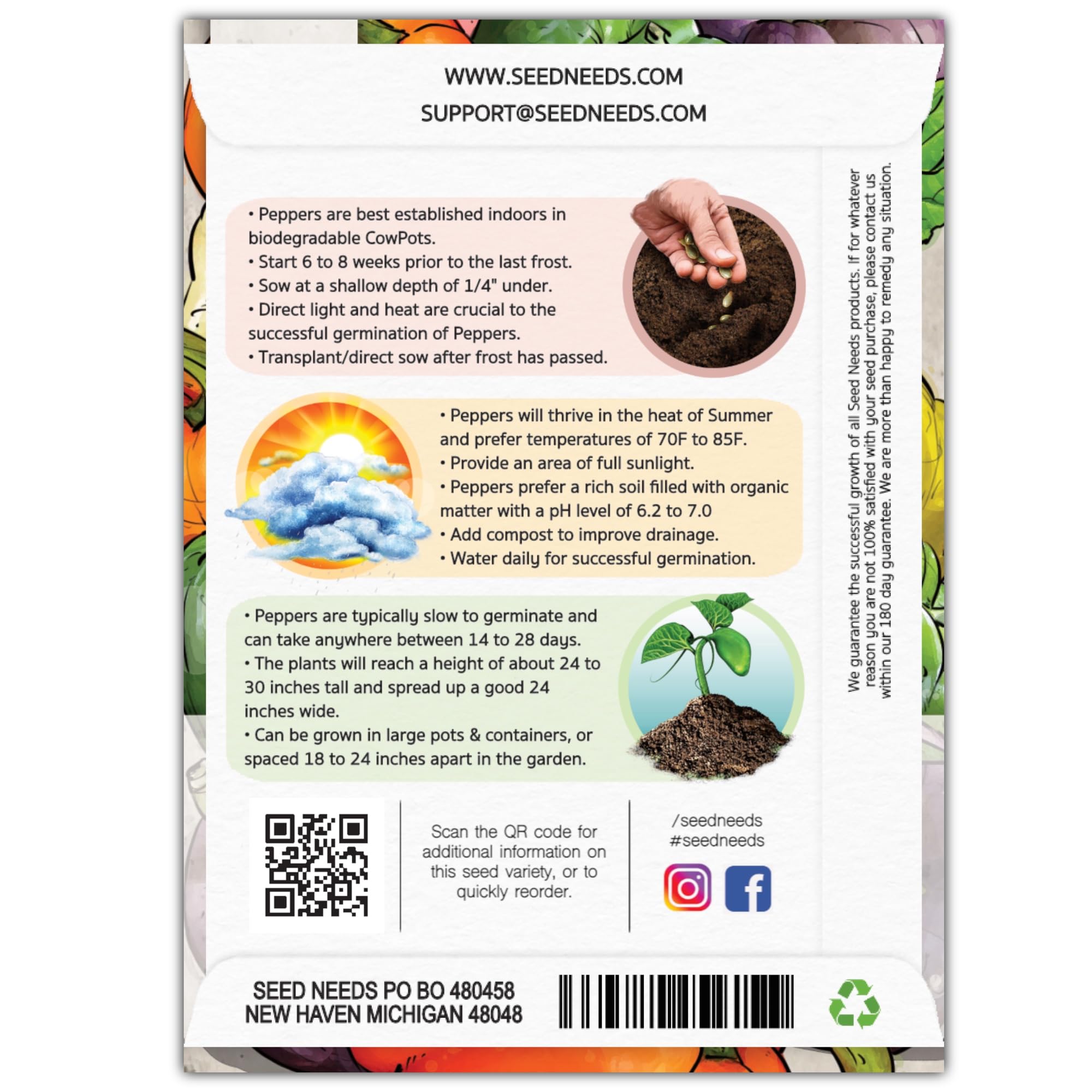 Seed Needs Rainbow Bell Pepper Seeds yield ripe peppers on vines for fresh harvests.