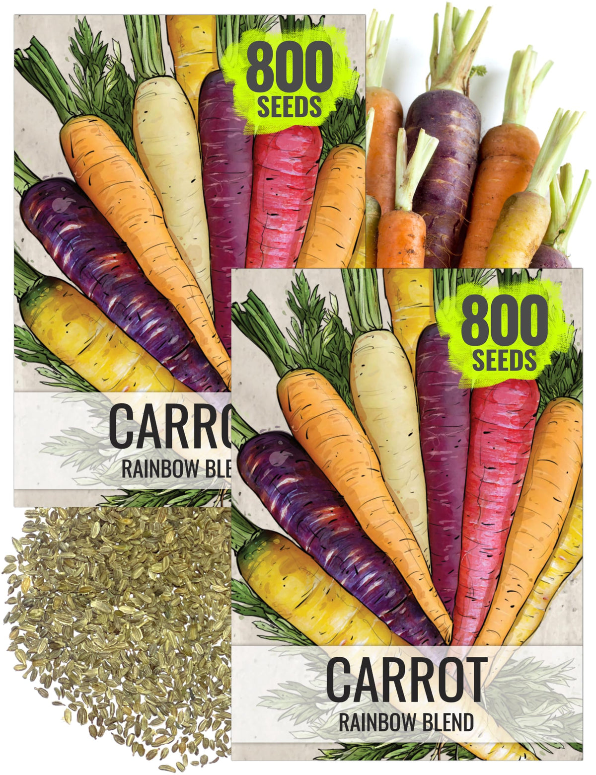 Seed Needs Rainbow Carrot orange pack for vibrant roots ready to harvest