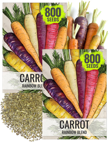 Seed Needs Rainbow Carrot orange pack for vibrant roots ready to harvest