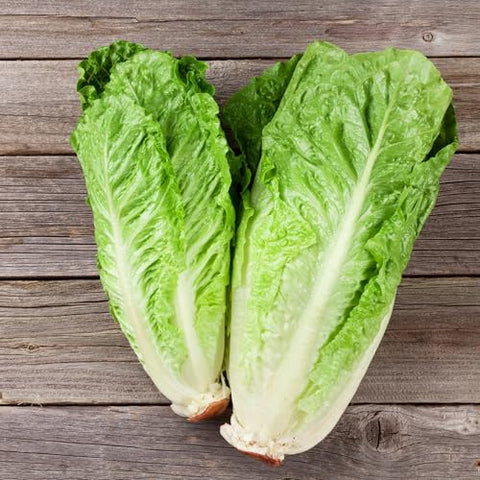 Seed Needs Red Romaine salad idea highlighting crisp leaves.