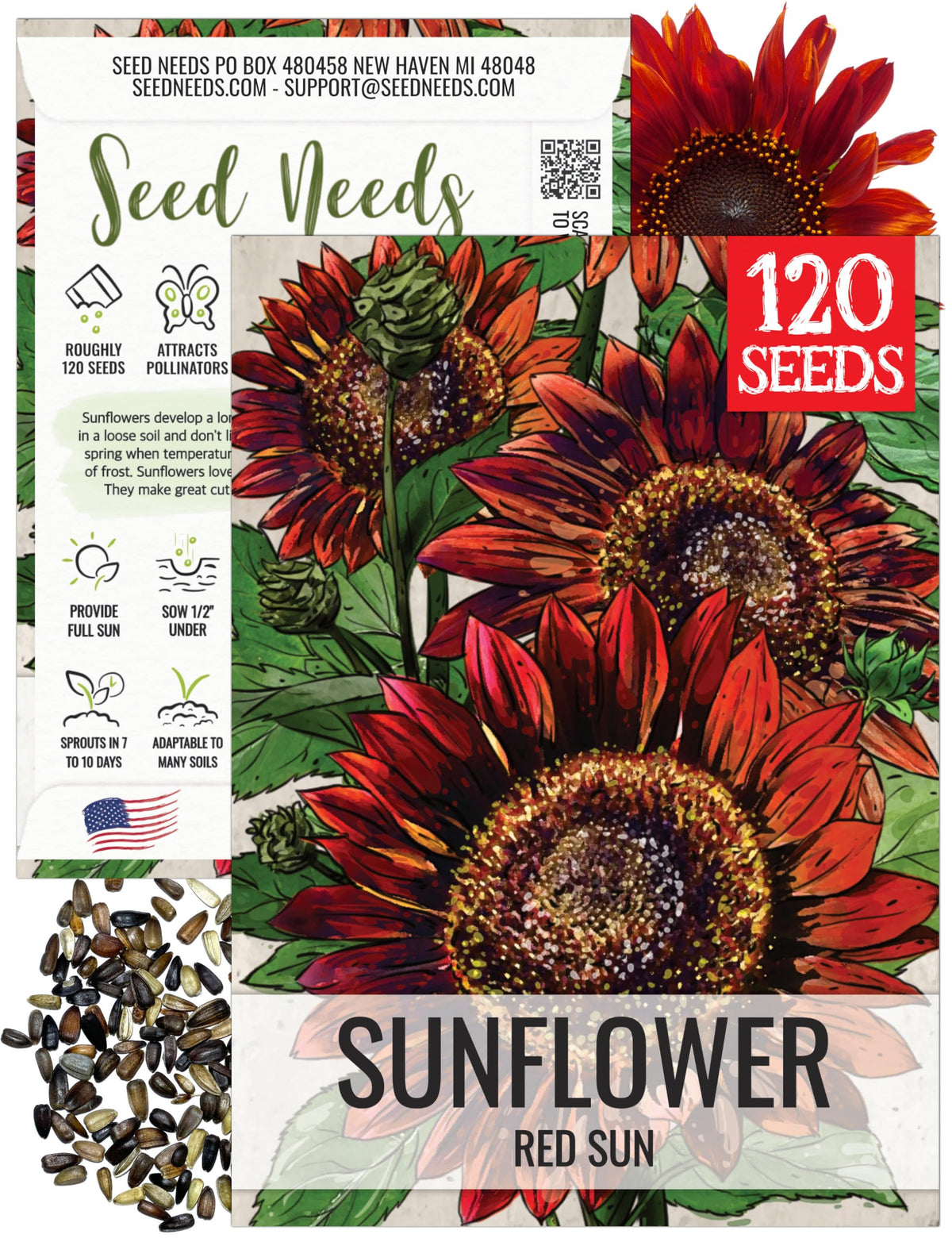 Seed Needs Red Sun Sunflower burgundy petals close-up, great for pollinator-friendly borders.