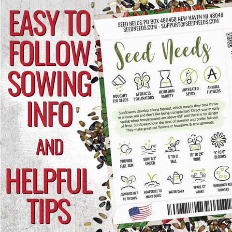 Seed Needs Red Sun Sunflower open-pollinated seeds ideal for heirloom gardening.