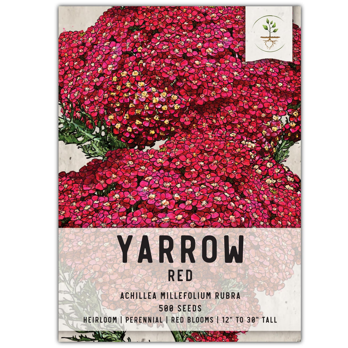 Seed Needs Red Yarrow seeds pack front showing vibrant crimson blooms and bold color