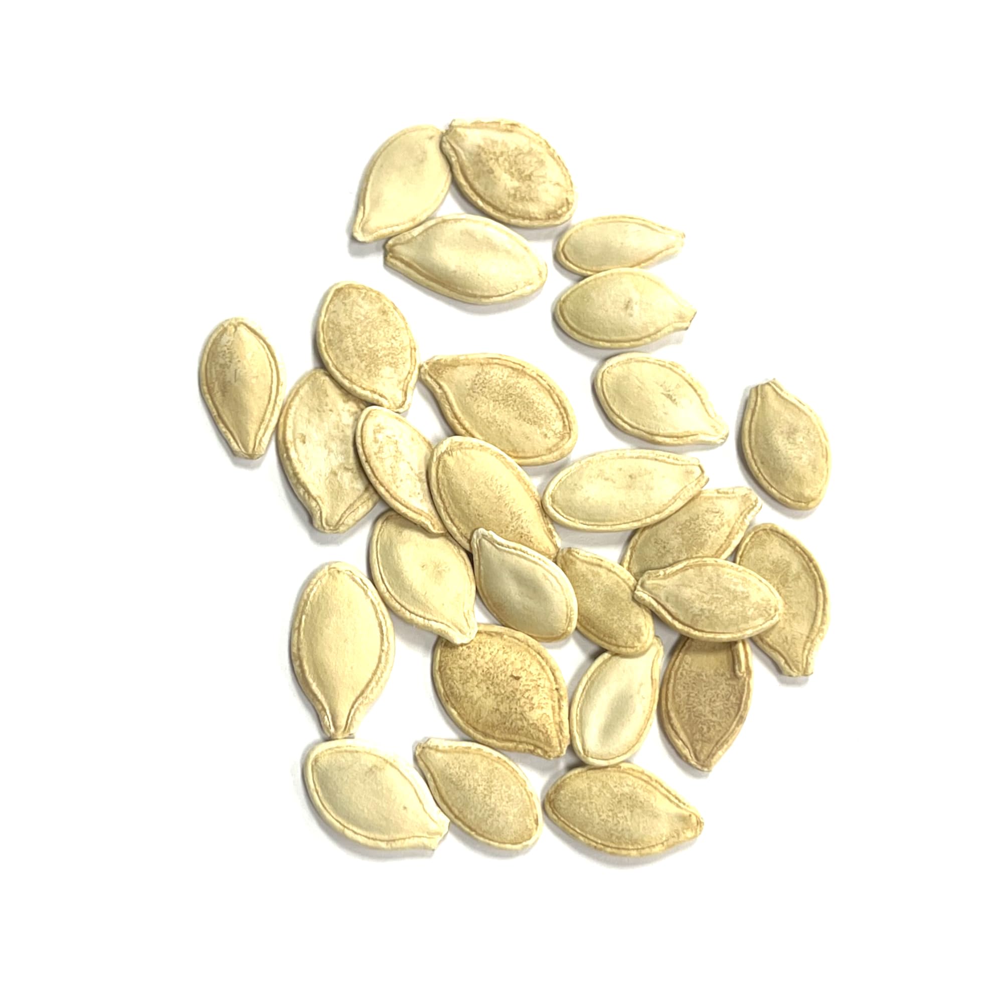 Seed Needs roasted pumpkin seeds snack idea after harvest