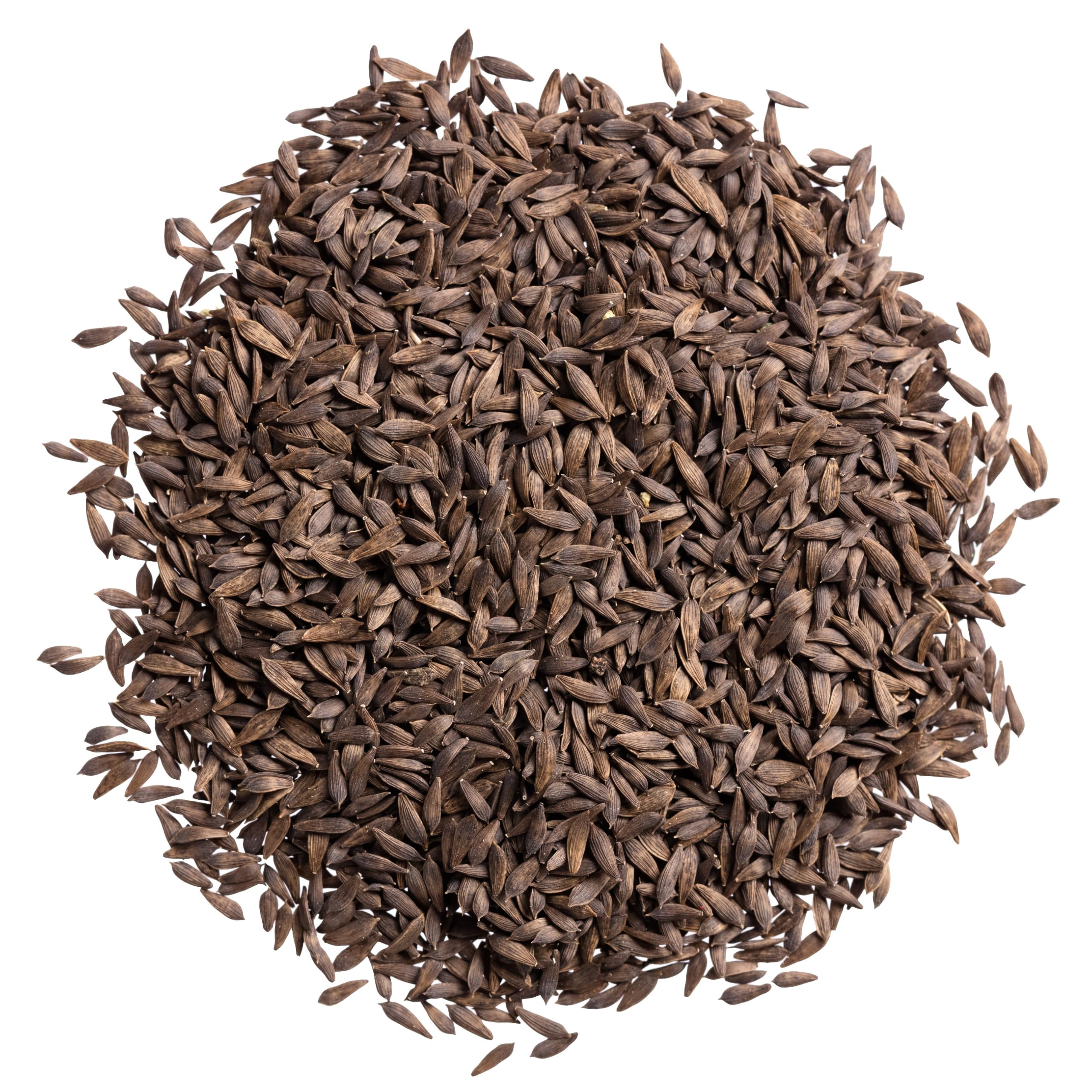 Seed Needs Romaine seed packet illustration with sowing steps.