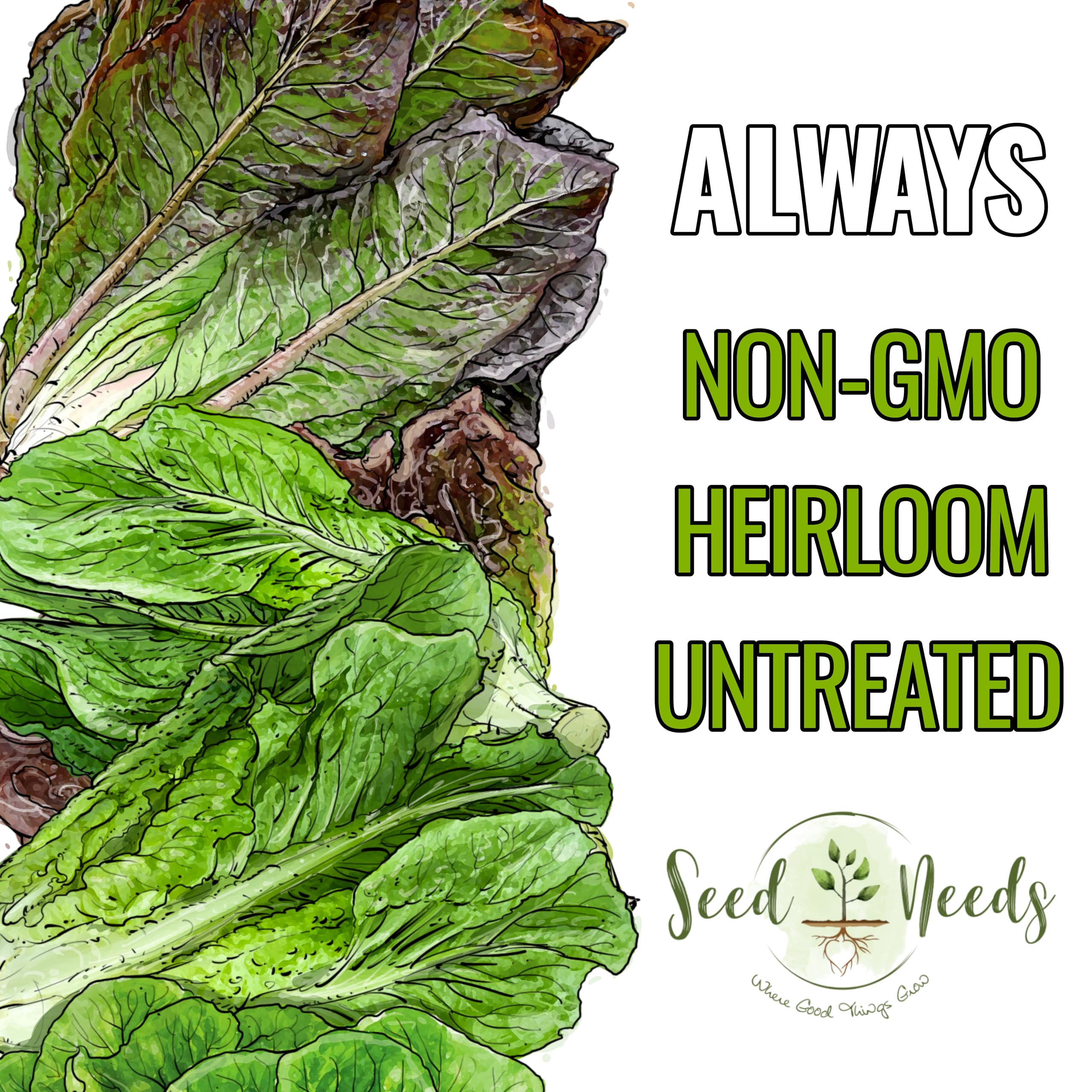 Seed Needs Romaine seeds packaging info for easy sowing and planning.
