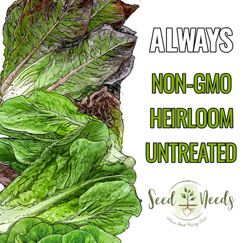 Seed Needs Romaine seeds packaging info for easy sowing and planning.