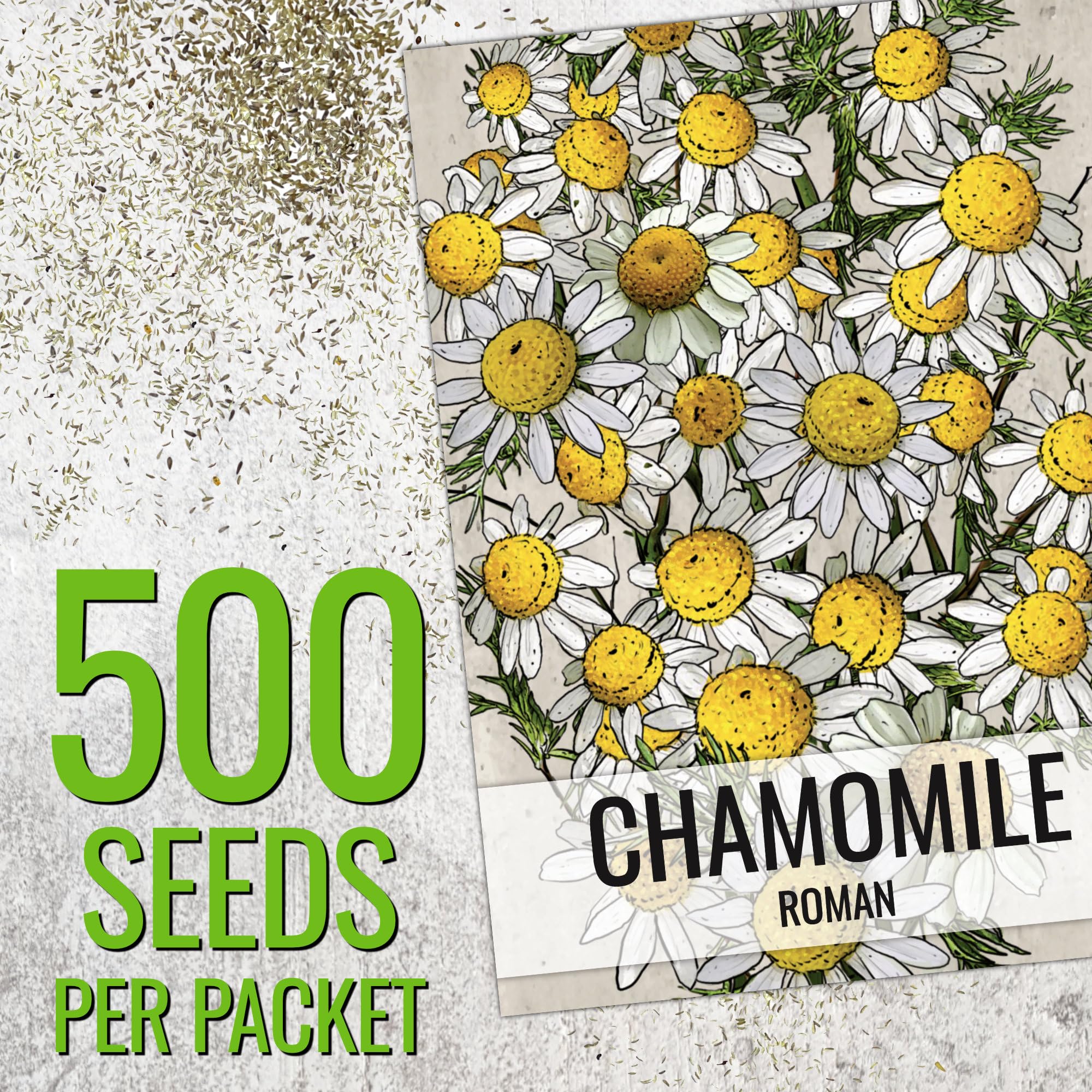 Seed Needs Roman Chamomile ground-cover image demonstrates low-growing habit suitable for borders.