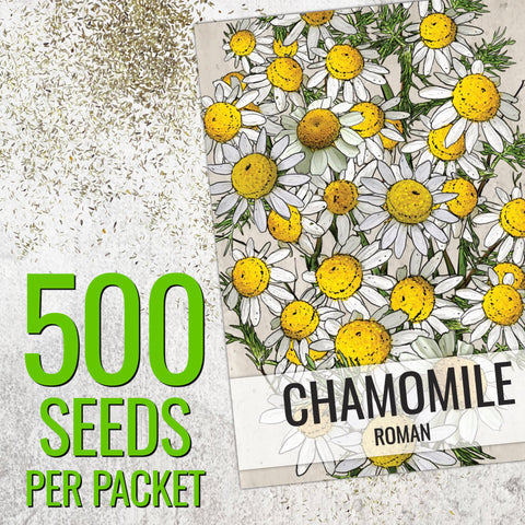 Seed Needs Roman Chamomile ground-cover image demonstrates low-growing habit suitable for borders.