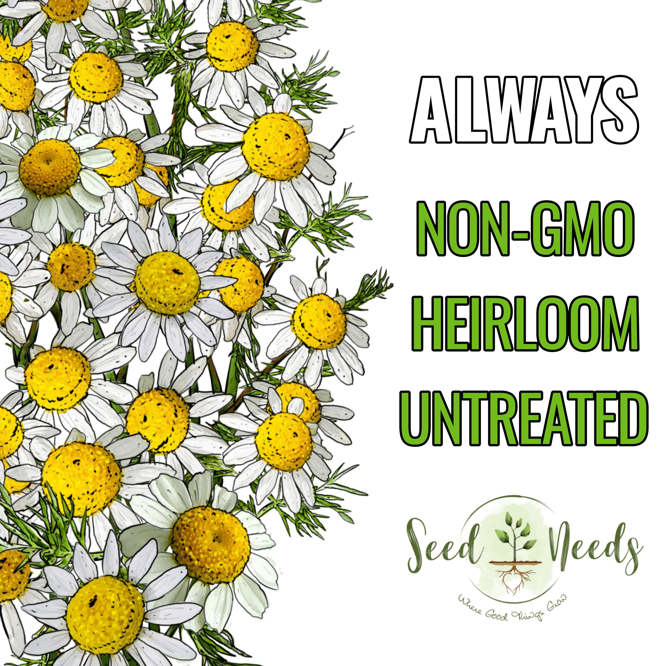 Seed Needs Roman Chamomile indoor-outdoor garden setup demonstrates versatile growing options.