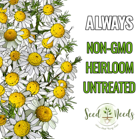 Seed Needs Roman Chamomile indoor-outdoor garden setup demonstrates versatile growing options.