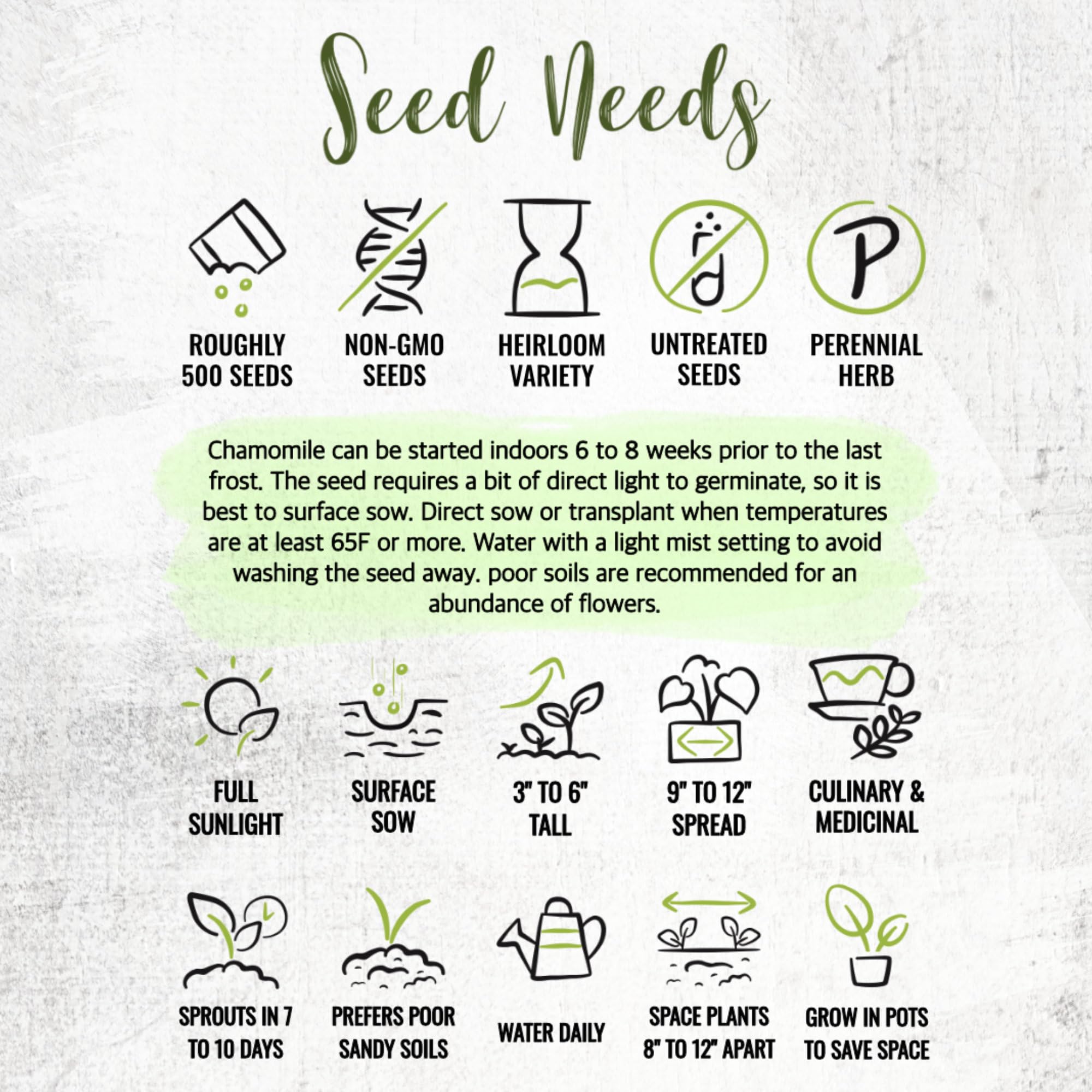 Seed Needs Roman Chamomile seed packet art emphasizes care and sowing instructions.