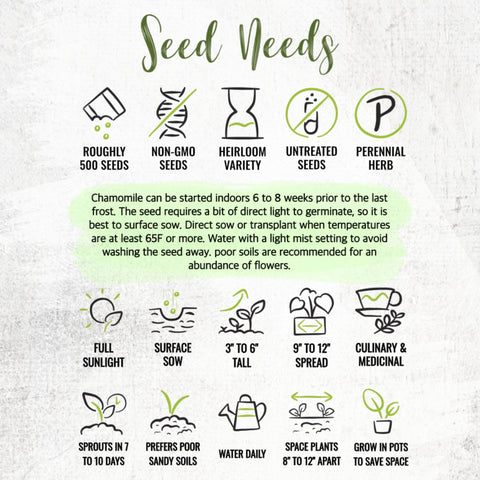 Seed Needs Roman Chamomile seed packet art emphasizes care and sowing instructions.