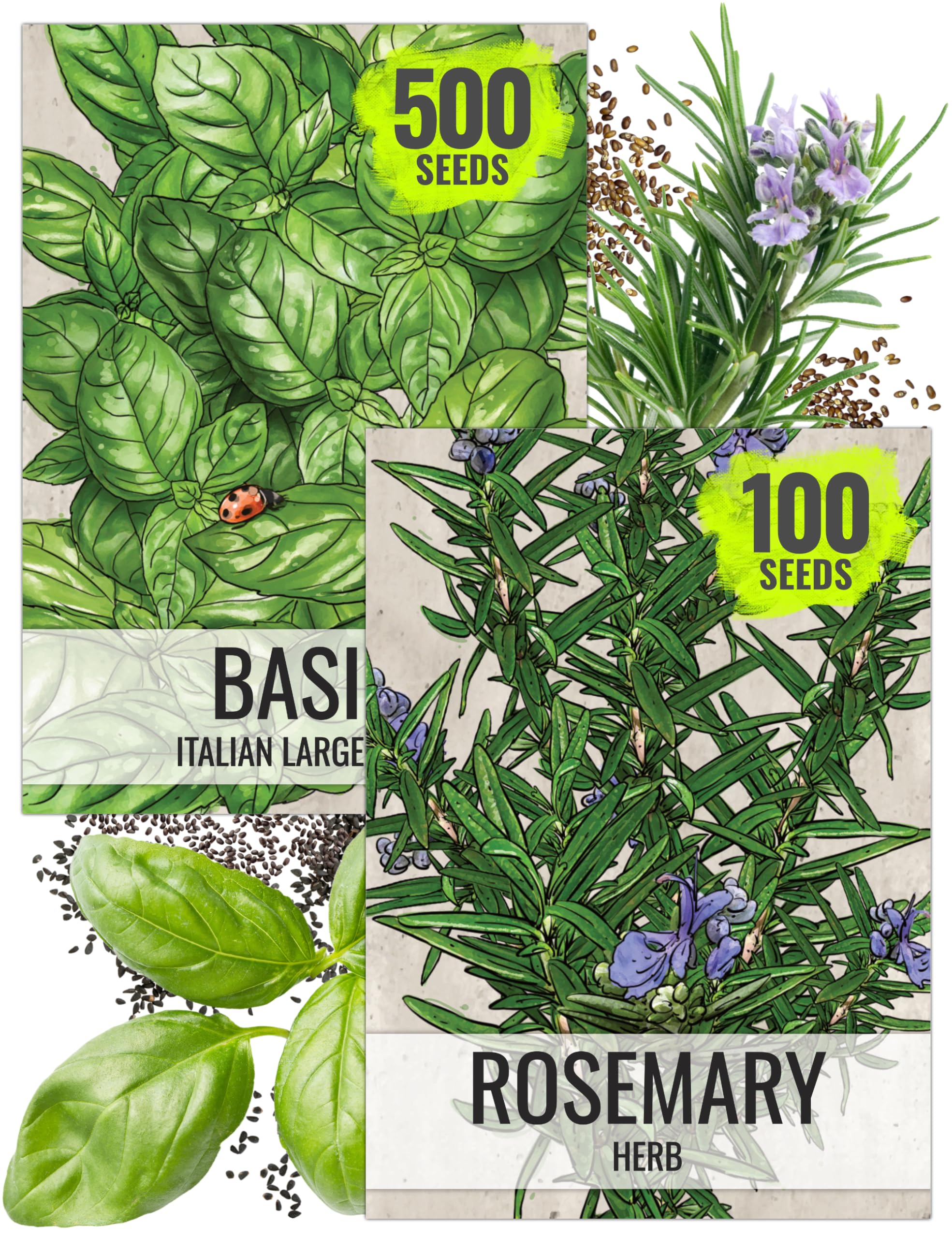 Seed Needs rosemary seeds packaging for easy indoor herb planning