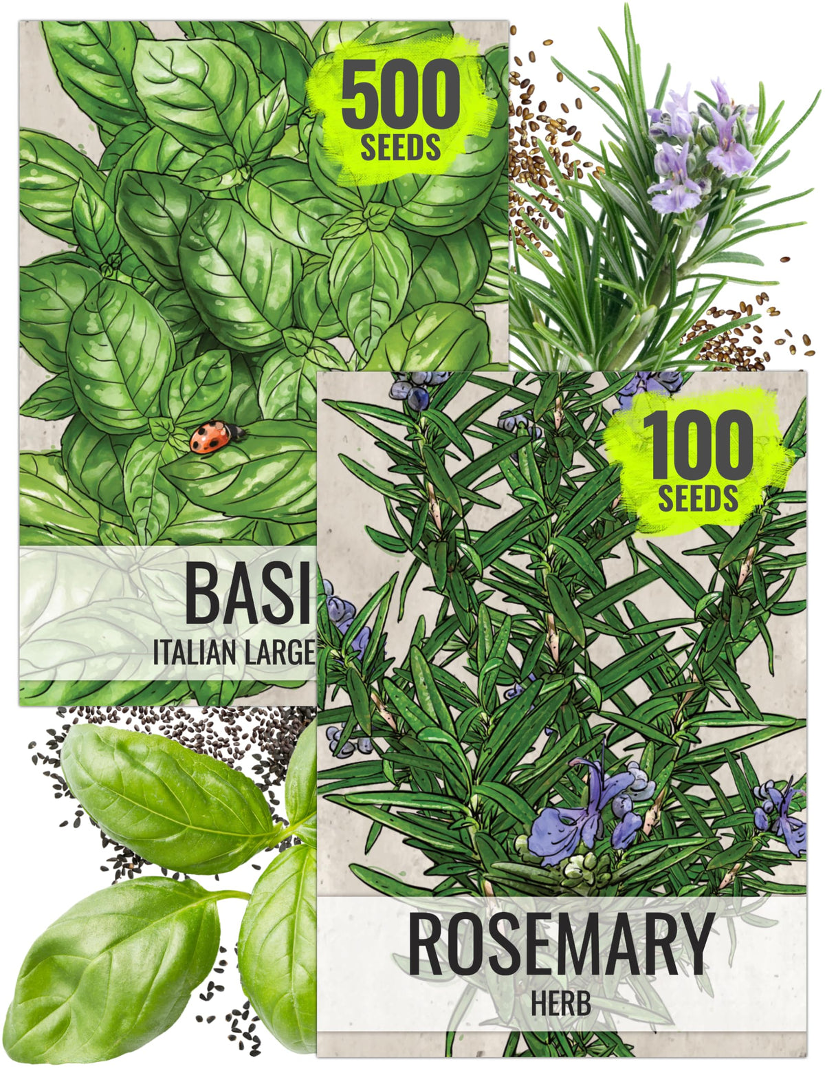 Seed Needs rosemary seeds packaging for easy indoor herb planning