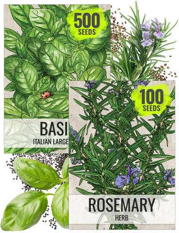 Seed Needs rosemary seeds packaging for easy indoor herb planning