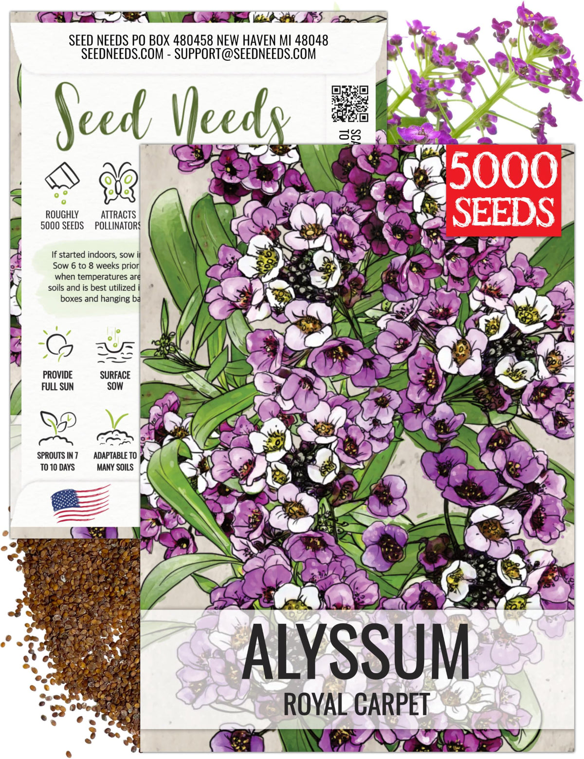 Seed Needs Royal Carpet Alyssum bloom closeup for pollinator-friendly fragrance