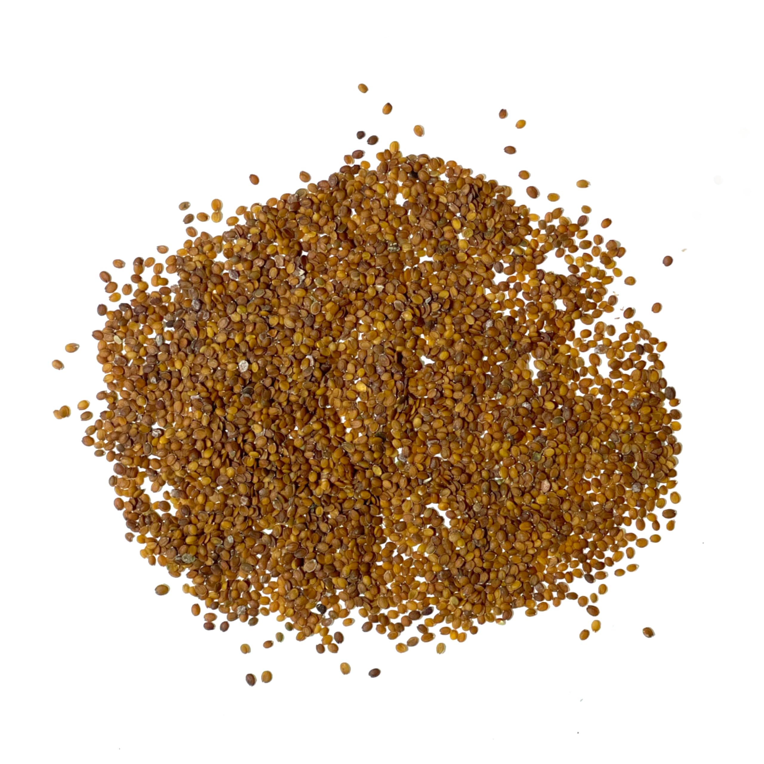 Seed Needs Royal Carpet Alyssum color palette features deep purple blooms