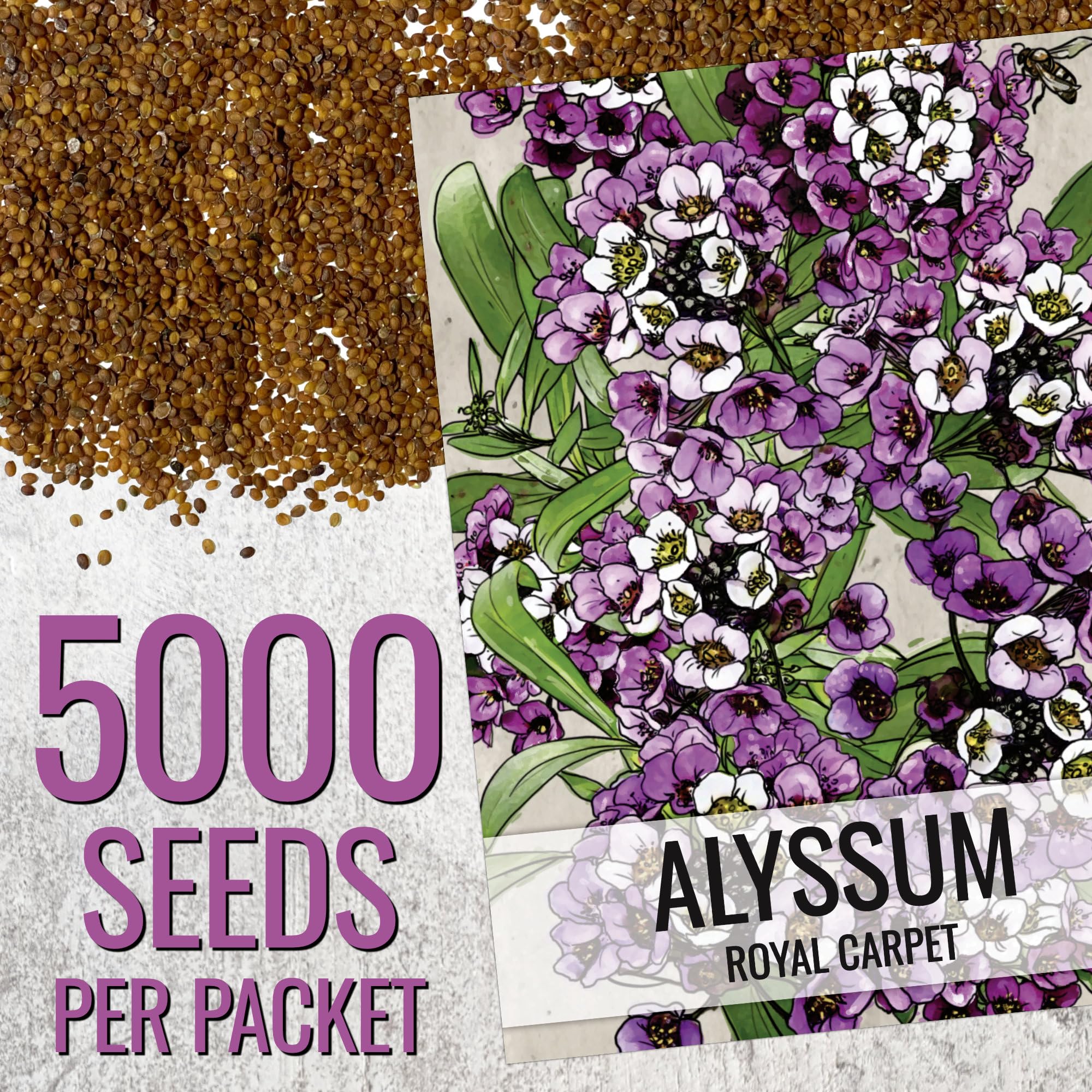Seed Needs Royal Carpet Alyssum container garden demonstrates color boost in pots