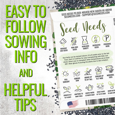 Seed Needs Rue yellow flowers—ornamental bloom and aromatic garden accent