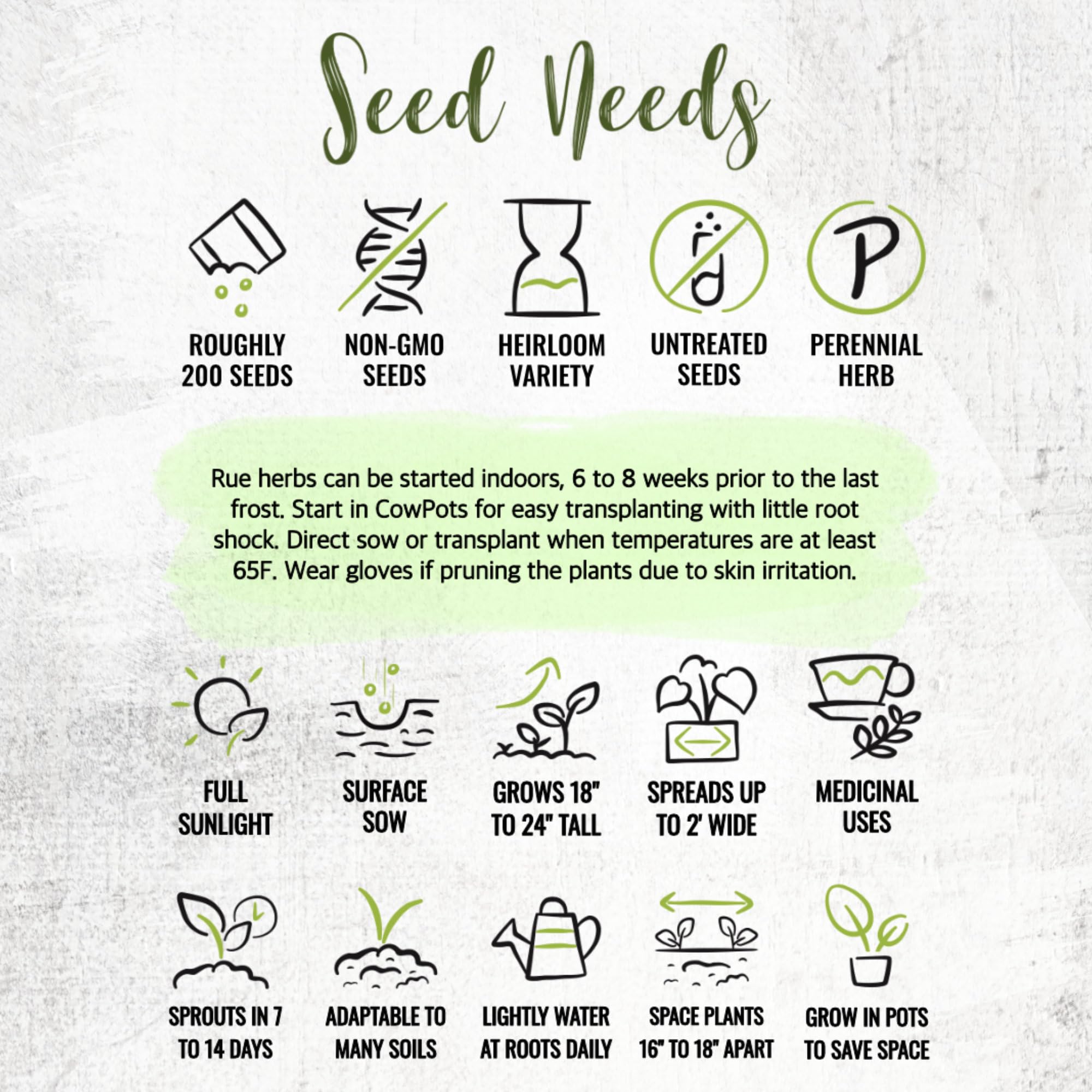 Seed Needs Rue packet illustration—artful design with sowing details