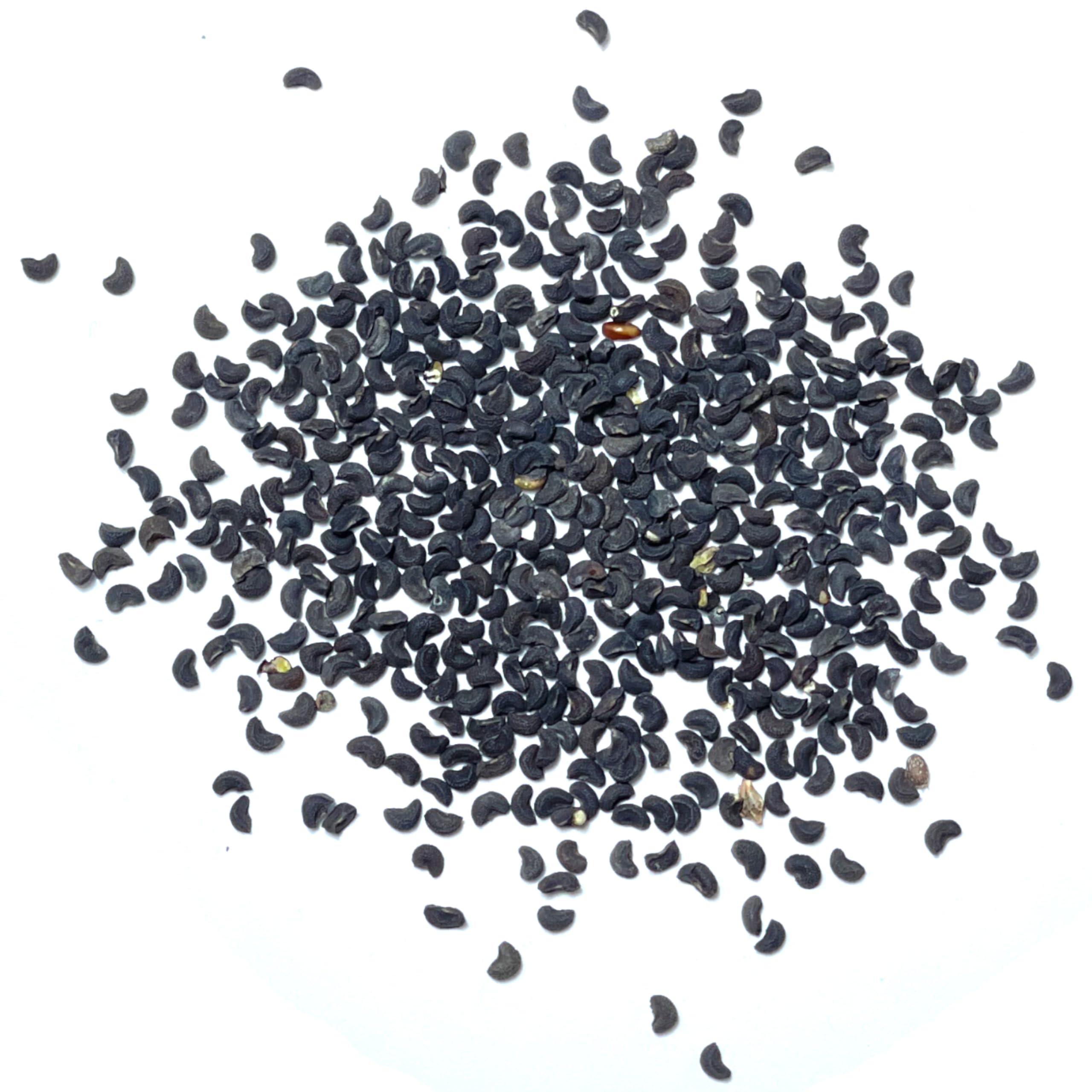 Seed Needs Rue seeds come in artful packets with clear sowing instructions.