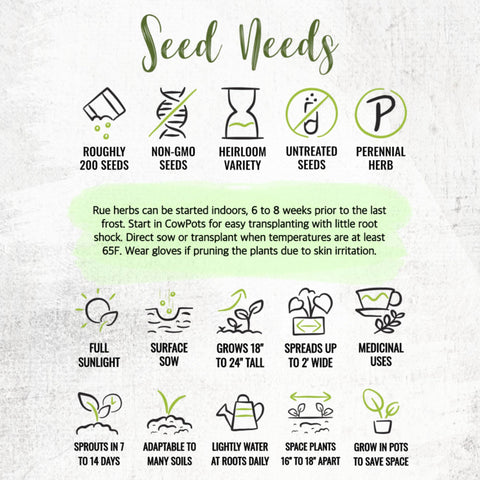 Seed Needs Rue seeds packaging keeps seeds fresh with moisture and tear resistance.
