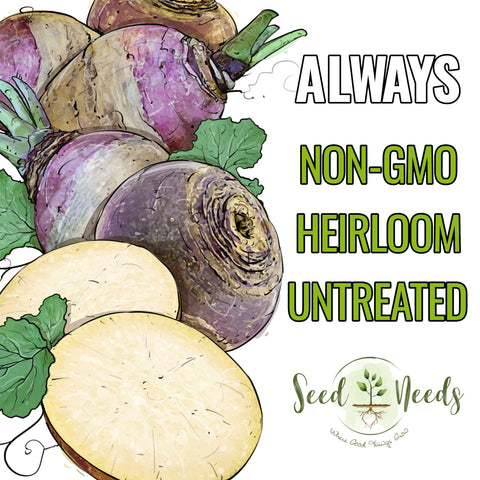 Seed Needs Rutabaga root close-up highlights earthy, sweet notes.