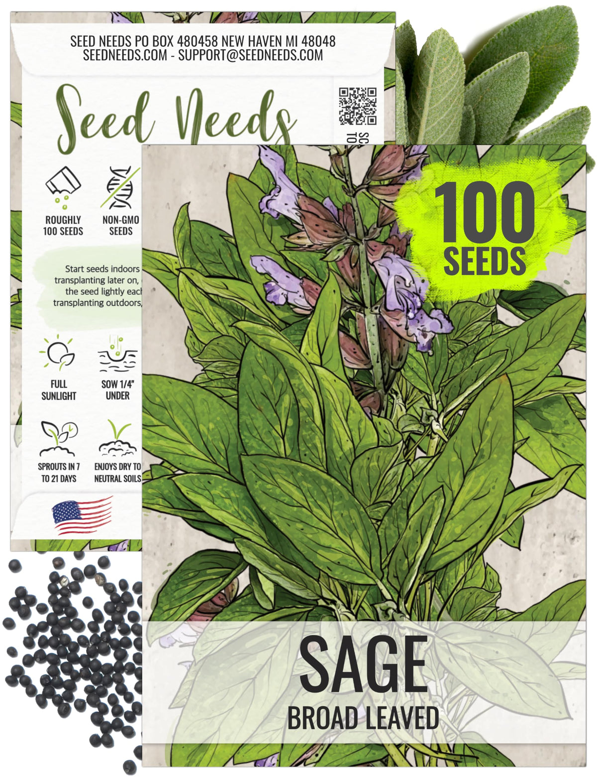 Seed Needs Sage Seeds broad-leaved appearance show lush herb foliage