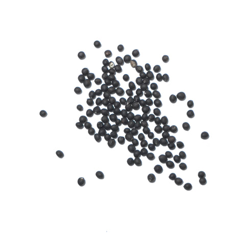 Seed Needs Sage Seeds perennial harvest ready for future seasons