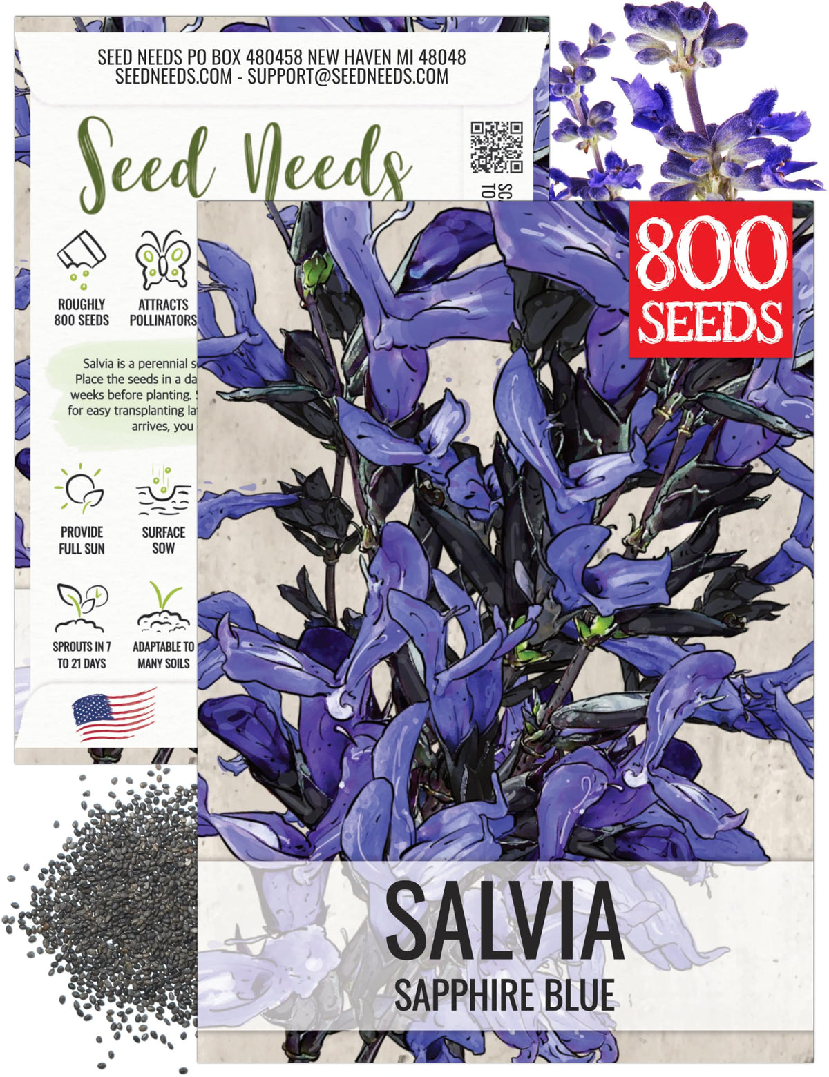 Seed Needs Sapphire Blue Sage bloom closeup shows vivid blue flowers attracting pollinators.