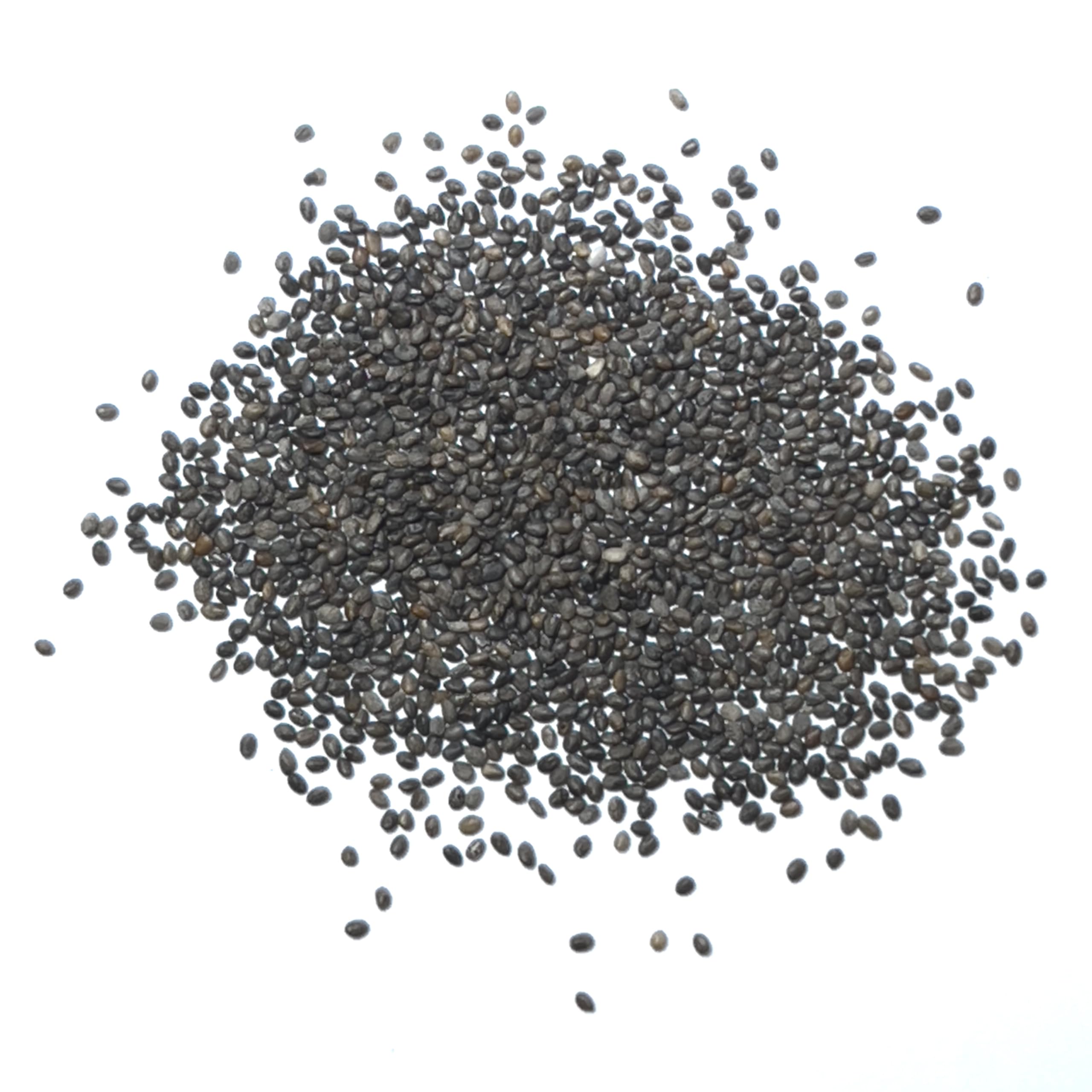 Fresh germination packet from Seed Needs showing sowing tips