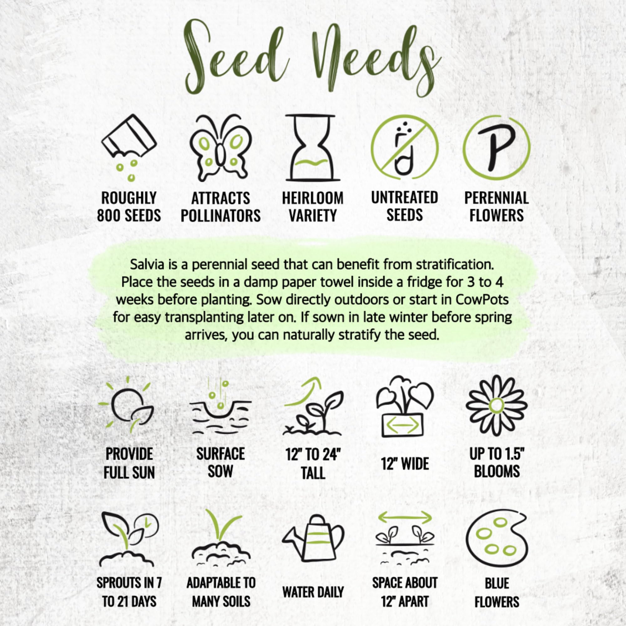 Seed Needs Sapphire Blue Sage packaging keeps seeds fresh for seasons.