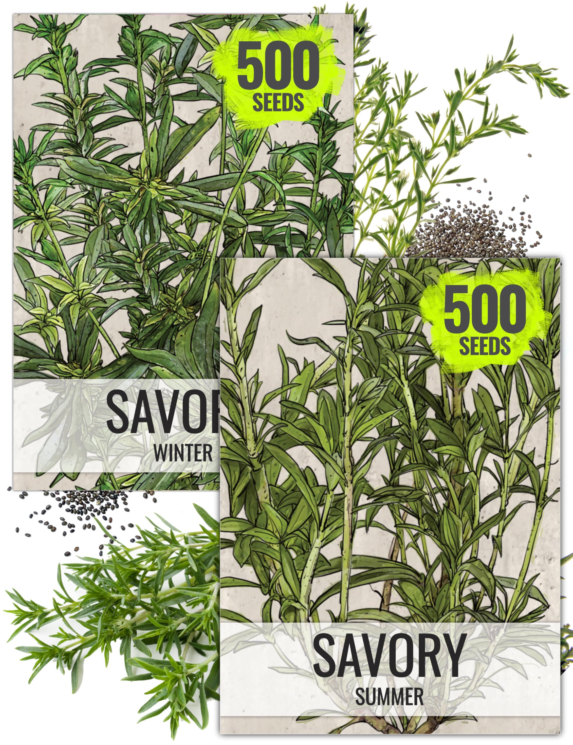 Seed Needs summer savory seed packet ready for quick garden harvest