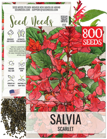 Seed Needs Scarlet Red Sage seeds pack features vibrant blooms for pollinator gardens.
