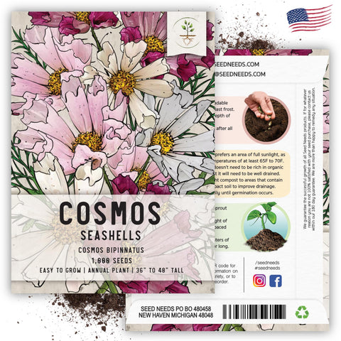 Seed Needs Seashells Cosmos fresh seeds from growers germinate quickly.