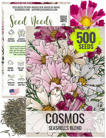 Seed Needs Seashells Cosmos pastel blooms brighten borders and attract pollinators.