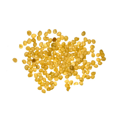 Seed Needs fresh seeds packaged for longevity and storage vitality.