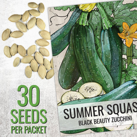Seed Needs seed packet front shows heirloom variety details for informed planting.