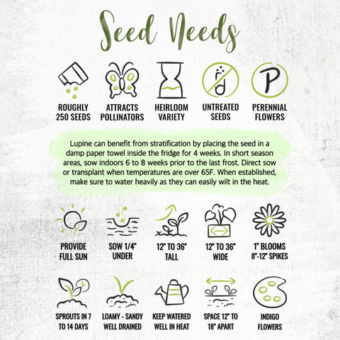Seed Needs sowing info on packet helps planning and planting.