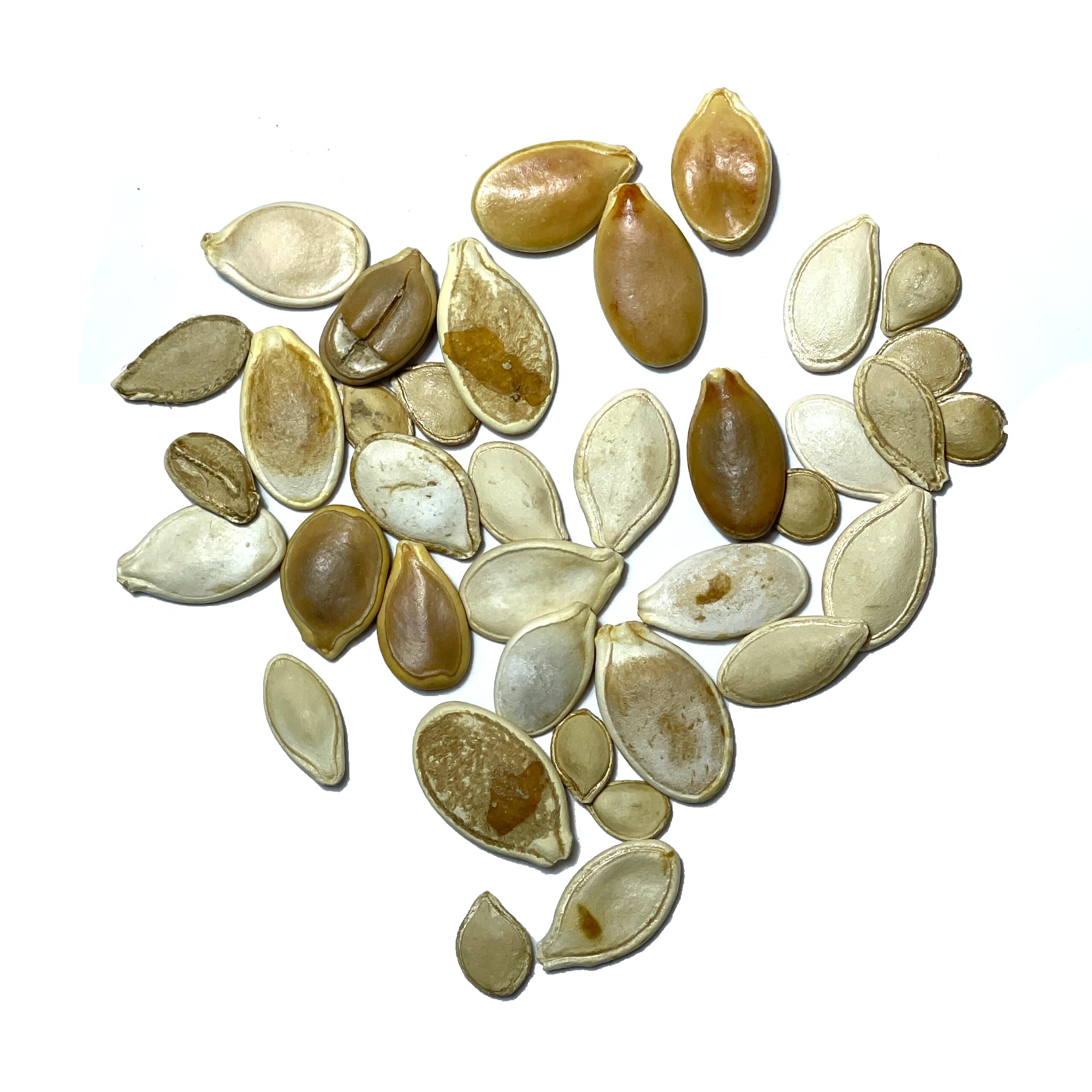 Seed Needs packets showcase open-pollinated heirloom seeds with sowing guidance.