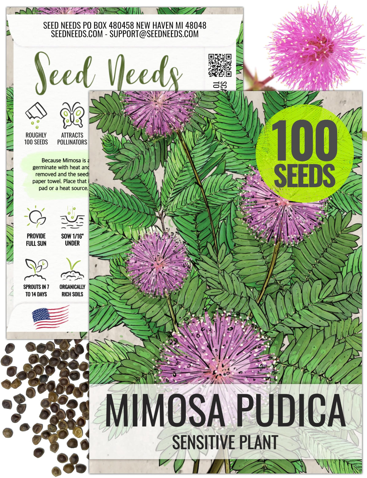 Seed Needs Sensitive Plant seeds show pink blooms and vibrant leaves for a striking display.