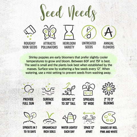 Seed Needs Shirley Poppy Seeds germinate quickly when sown correctly