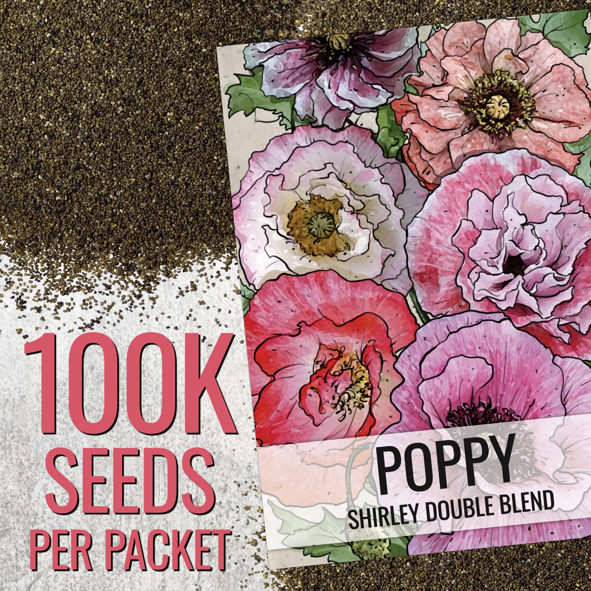 Seed Needs Shirley Poppy Seeds border planting demonstrates height and texture