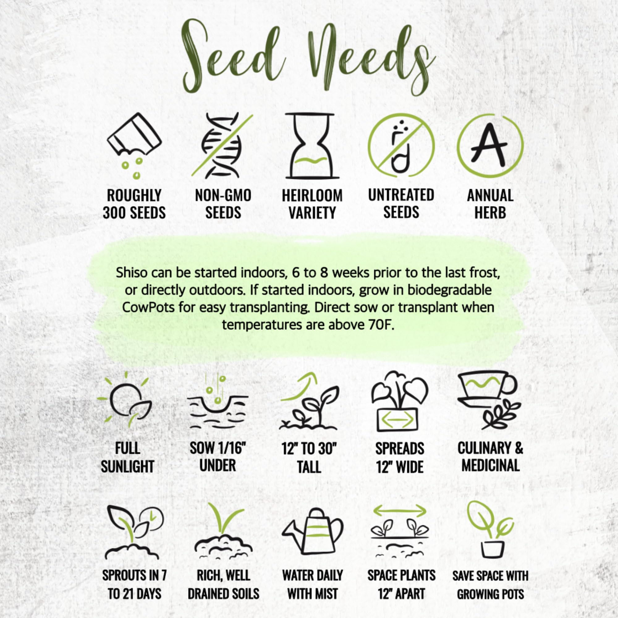Seed Needs Shiso leaves harvest – aromatic, culinary-ready greens