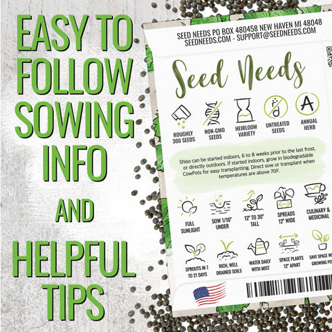 Seed Needs Shiso seeds indoors sowing – ideal for year-round herbs