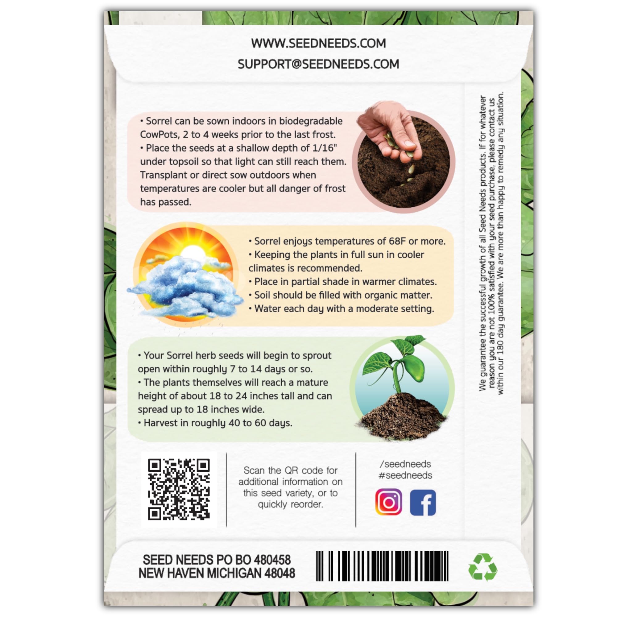 Seed Needs sorrel seed germination image shows vibrant seedlings ready for sun in your garden.