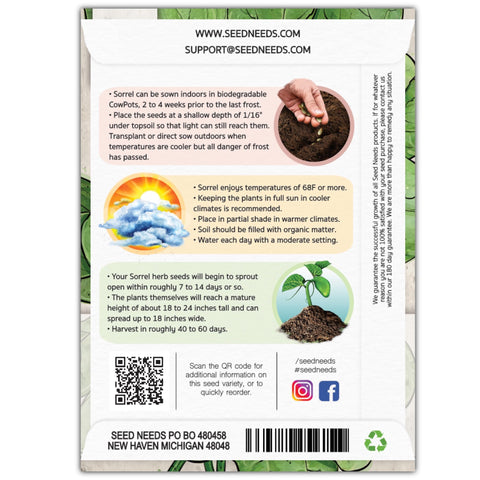 Seed Needs sorrel seedling germination close-up, quick-growing herb for borders